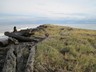The Dungeness Spit